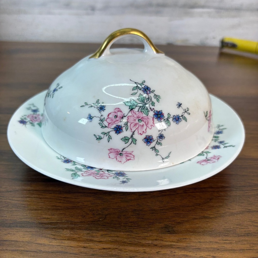 Antique THEODORE HAVILAND LIMOGES HAND PAINTED Porcelain Covered‎ Butter Dish